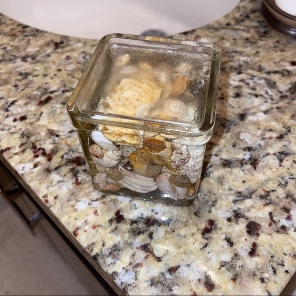 Gorgeous Stylish Modern Seashell Glass Decoration - Picture 4 of 4